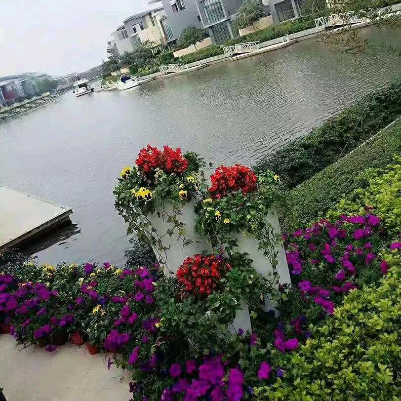 🌈吉祥如意
