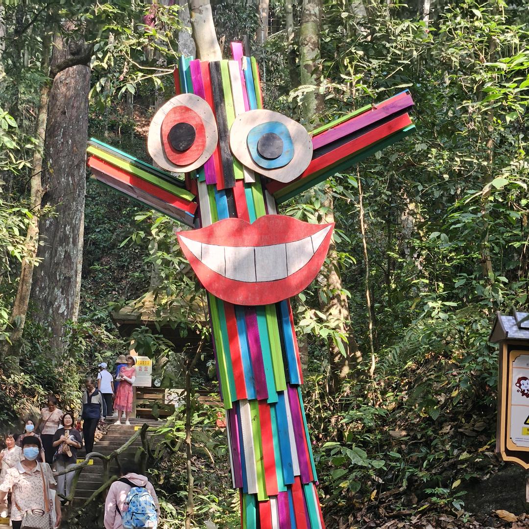 大圭大圭🤡
