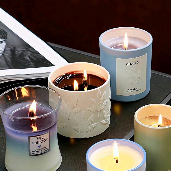 铜川市照金煤矿的牛马