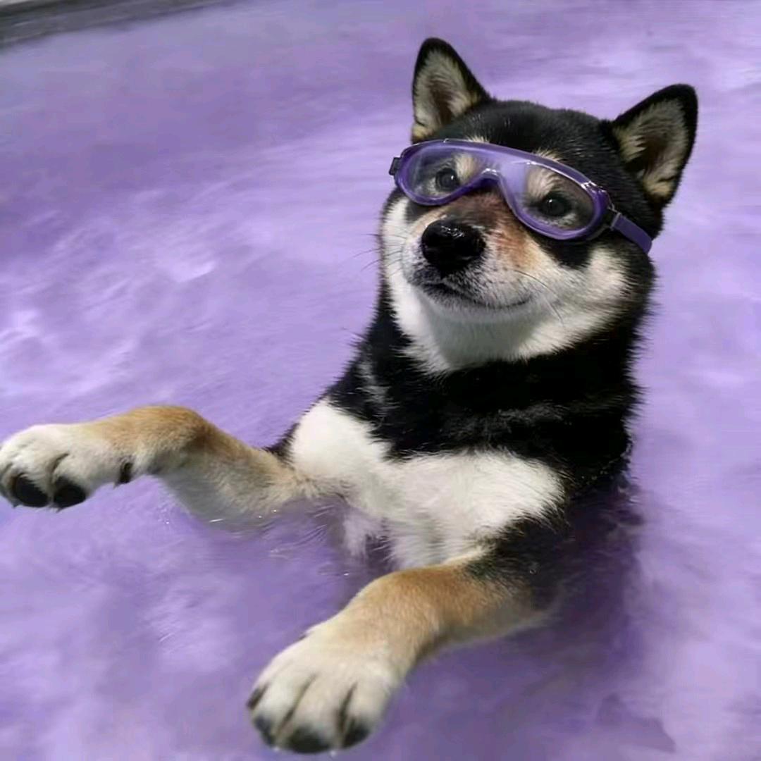 祺爱冰粉💜💜