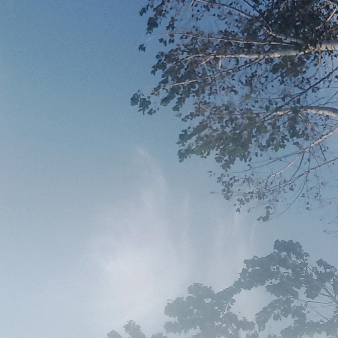给你打电话。