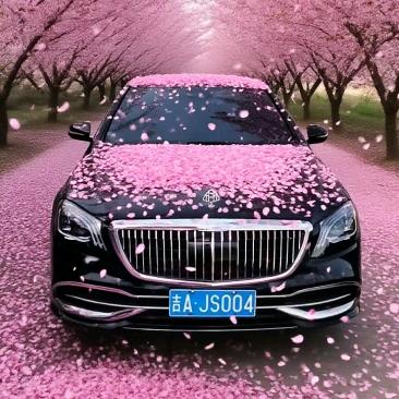 洪严二手车批发 高端婚礼车队