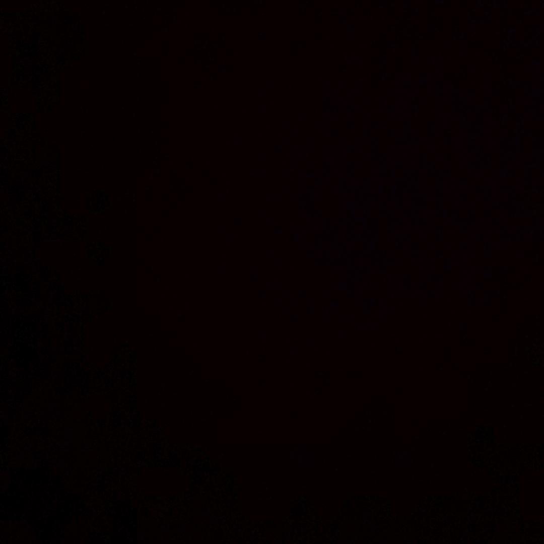 罔日