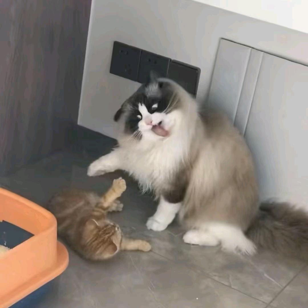 啊啊啊啊啊啊