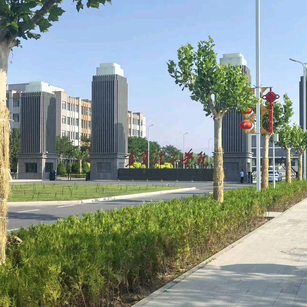 宁夏理工校园墙