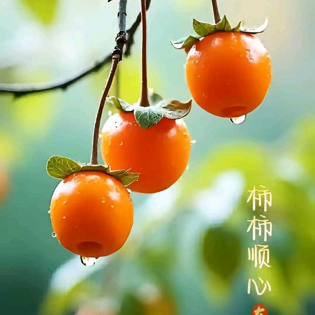 解维国