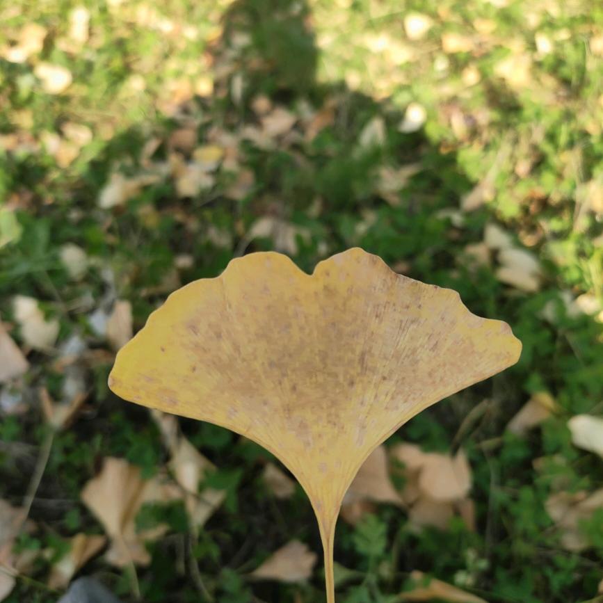 1️⃣定☞微😄