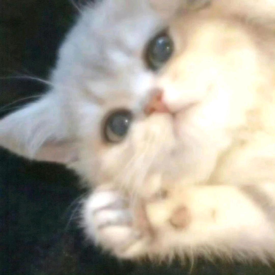 clululu