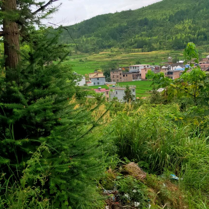 在来一大山