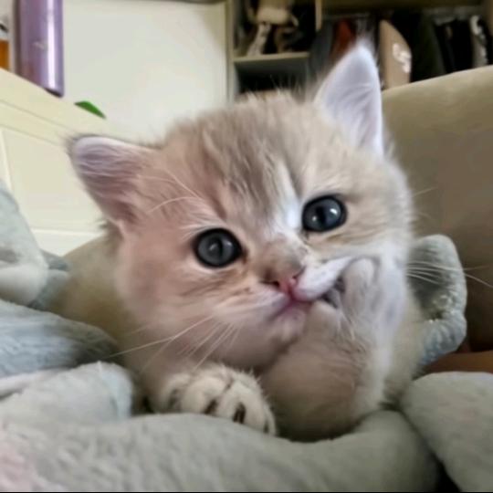 七҉ོ࿚࿚ཽ安ꦿོ