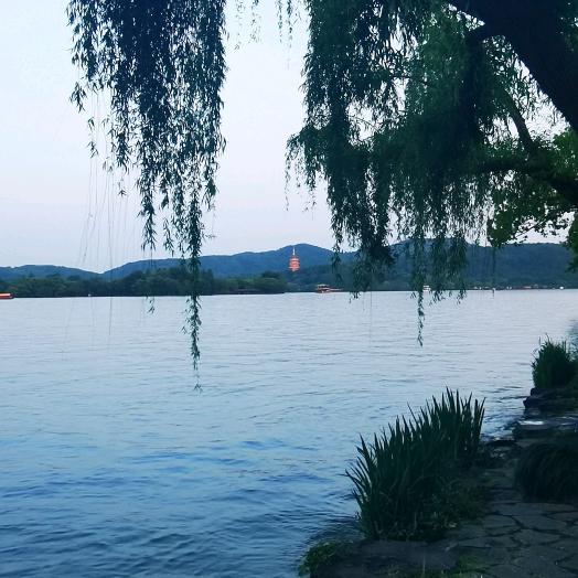 ༺ۣۖ浮ۣۖ༒ۣ尘ۣۖ༻
