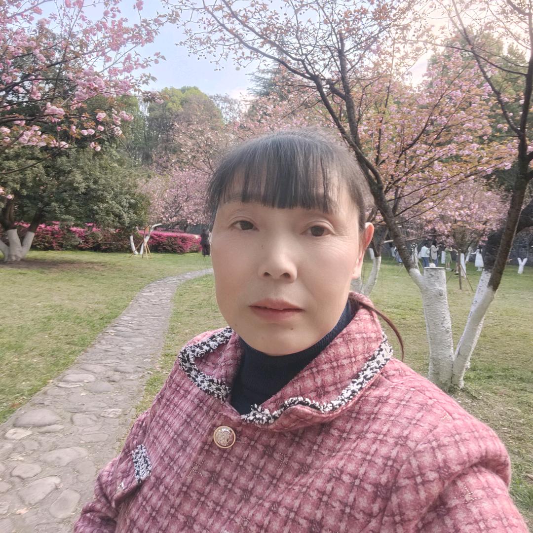 刘四姐家政服务