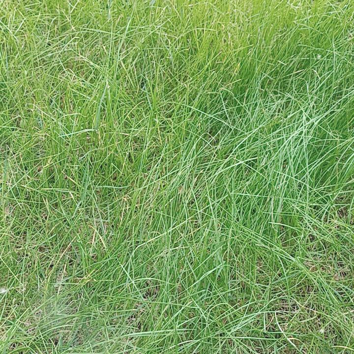 幸运 ✪ω✪常伴