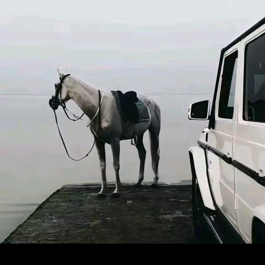 赛圣