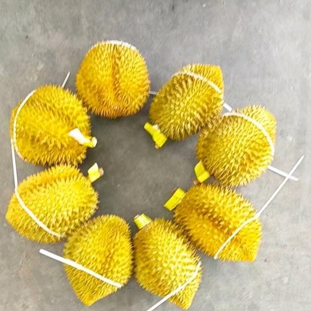 酷橙派水果旗舰店