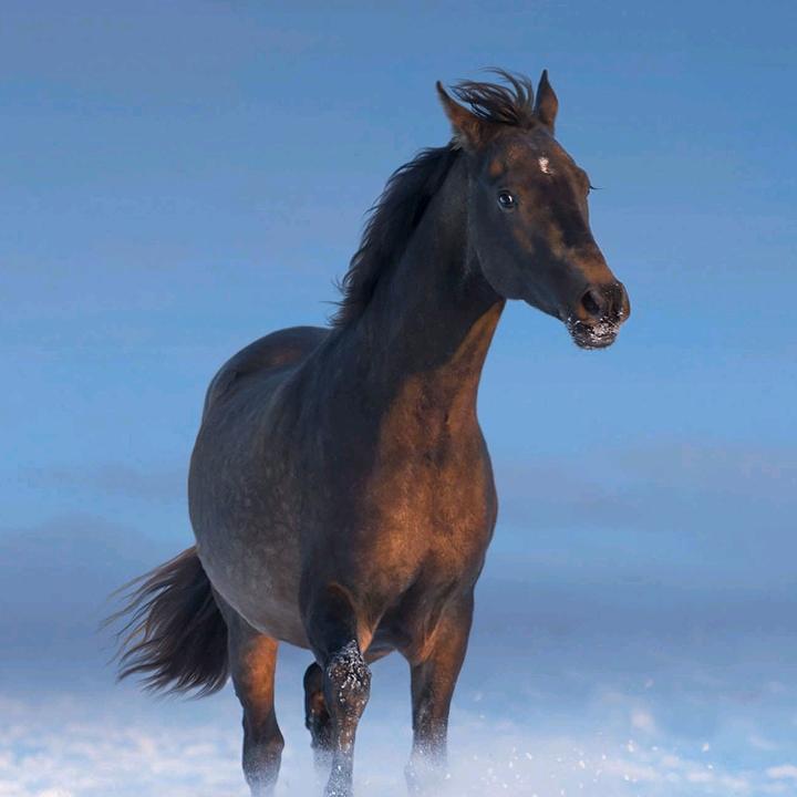 ໑ຼₒ₂₅重启人生