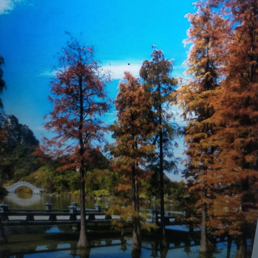 学星商贸