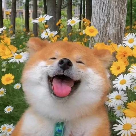 百澈