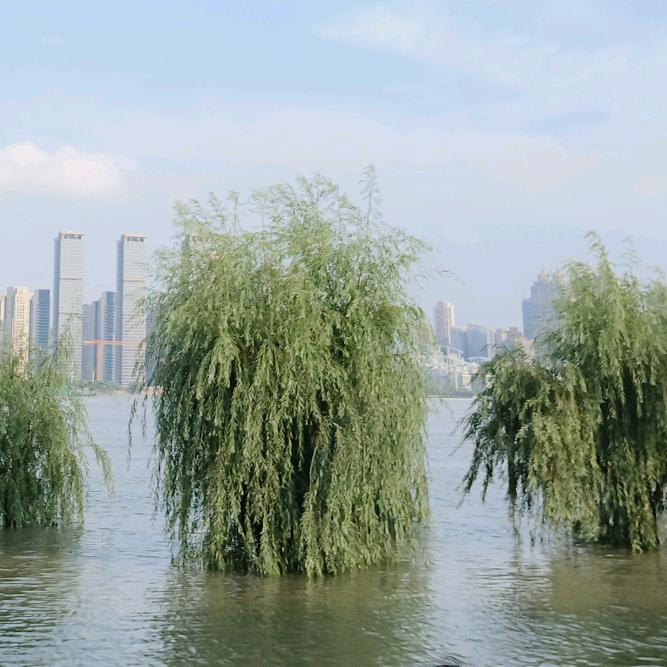 娇情是罪过