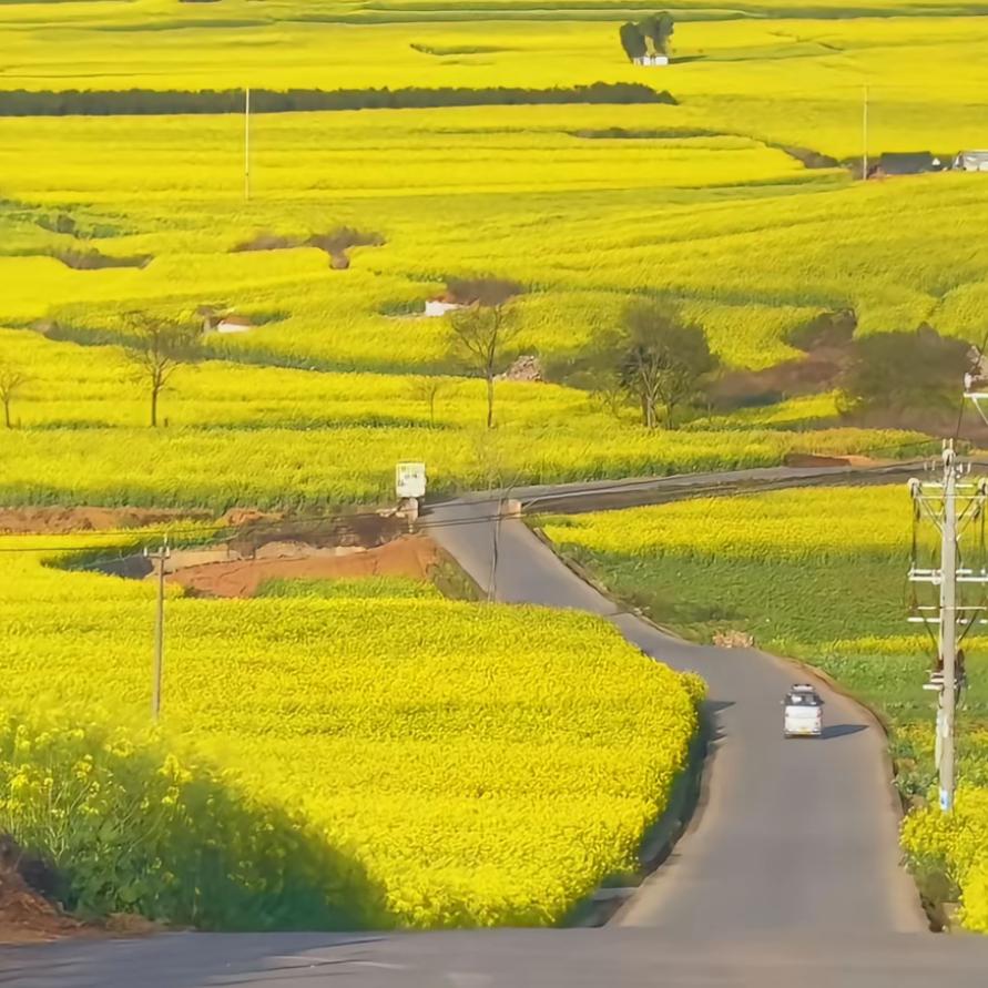 蜡镶外放陇川章凤