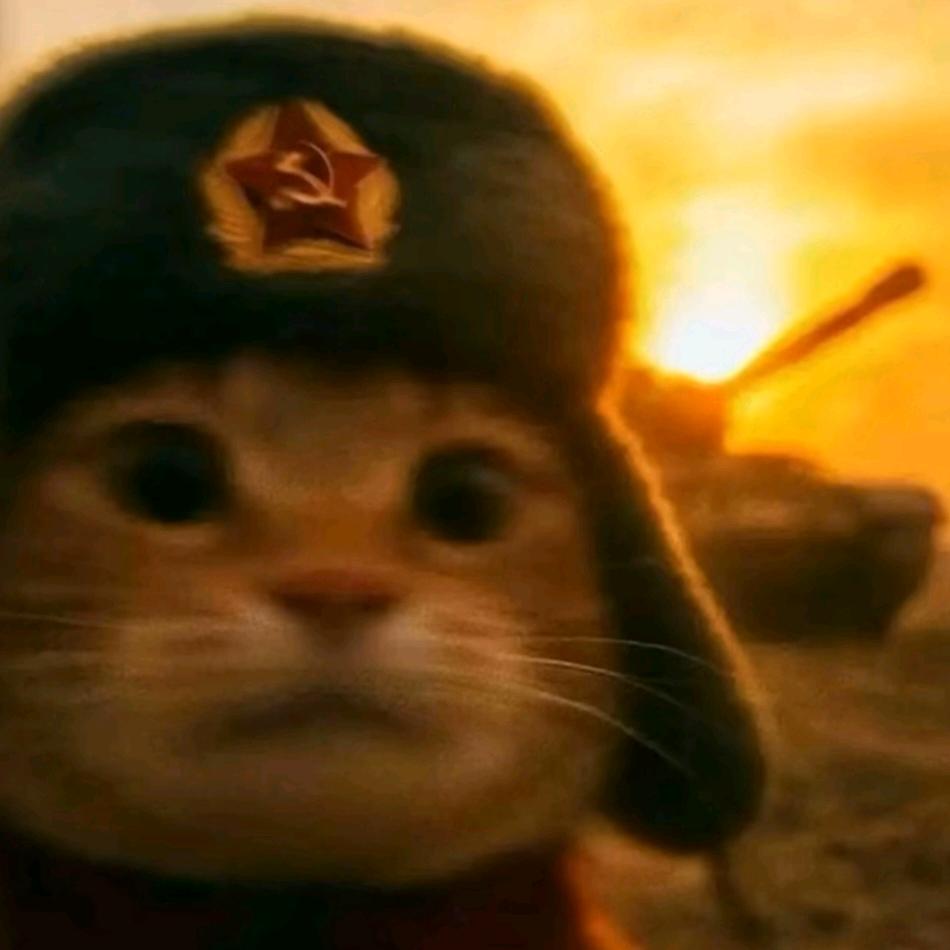 6666