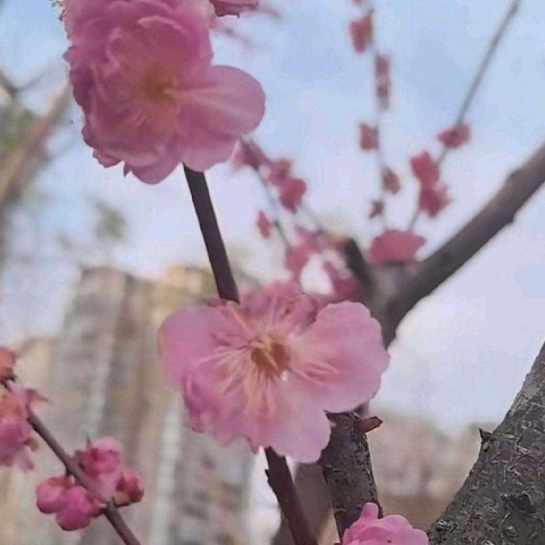 一缕阳光