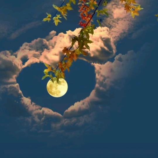 ໑ຼₒ₂₅ღ᭄傻丫头🕊꧔ꦿ᭄💞