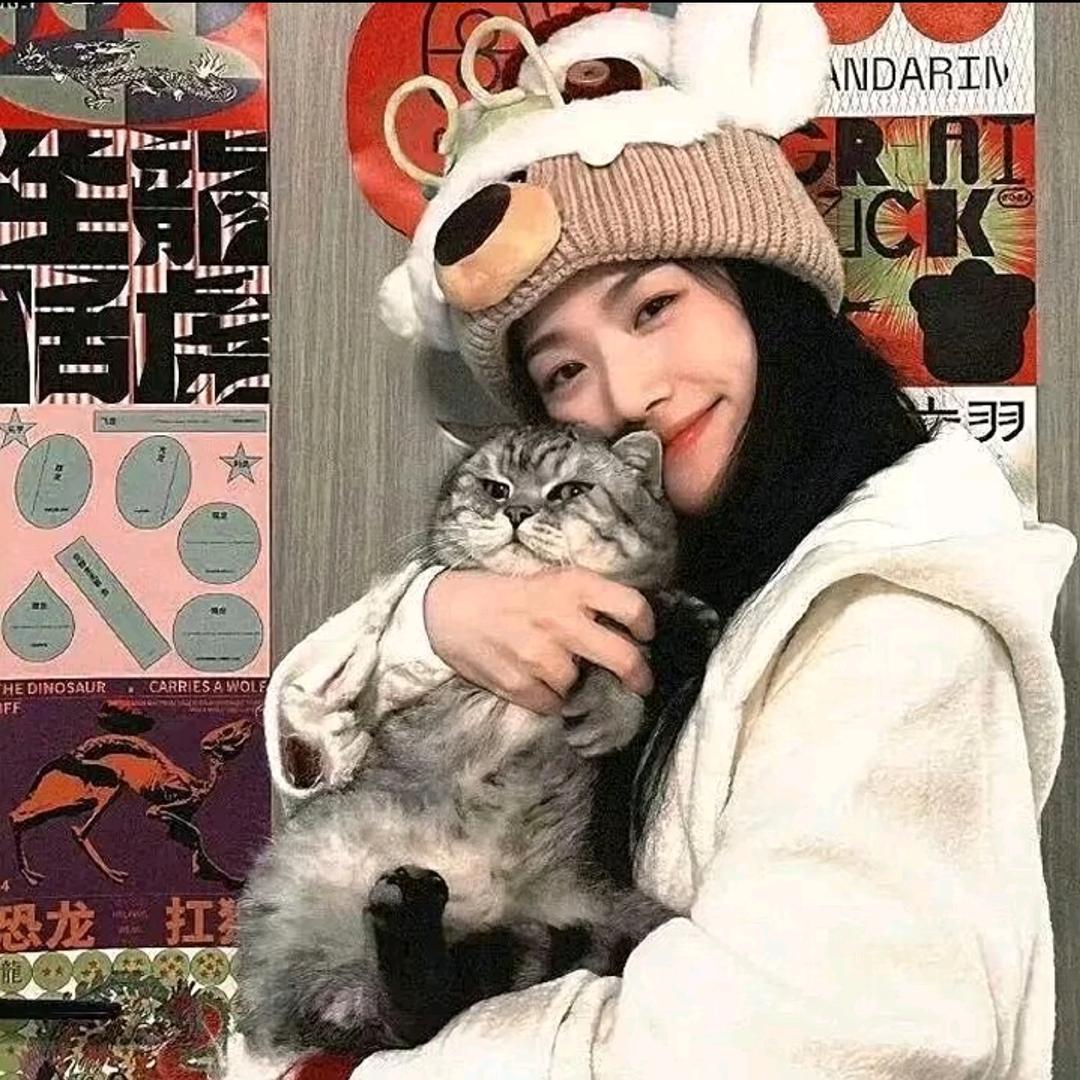 薛会了嘛.