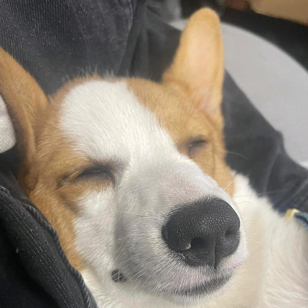 你踩住我对人字拖