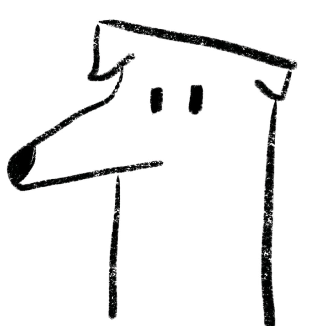 卡伊