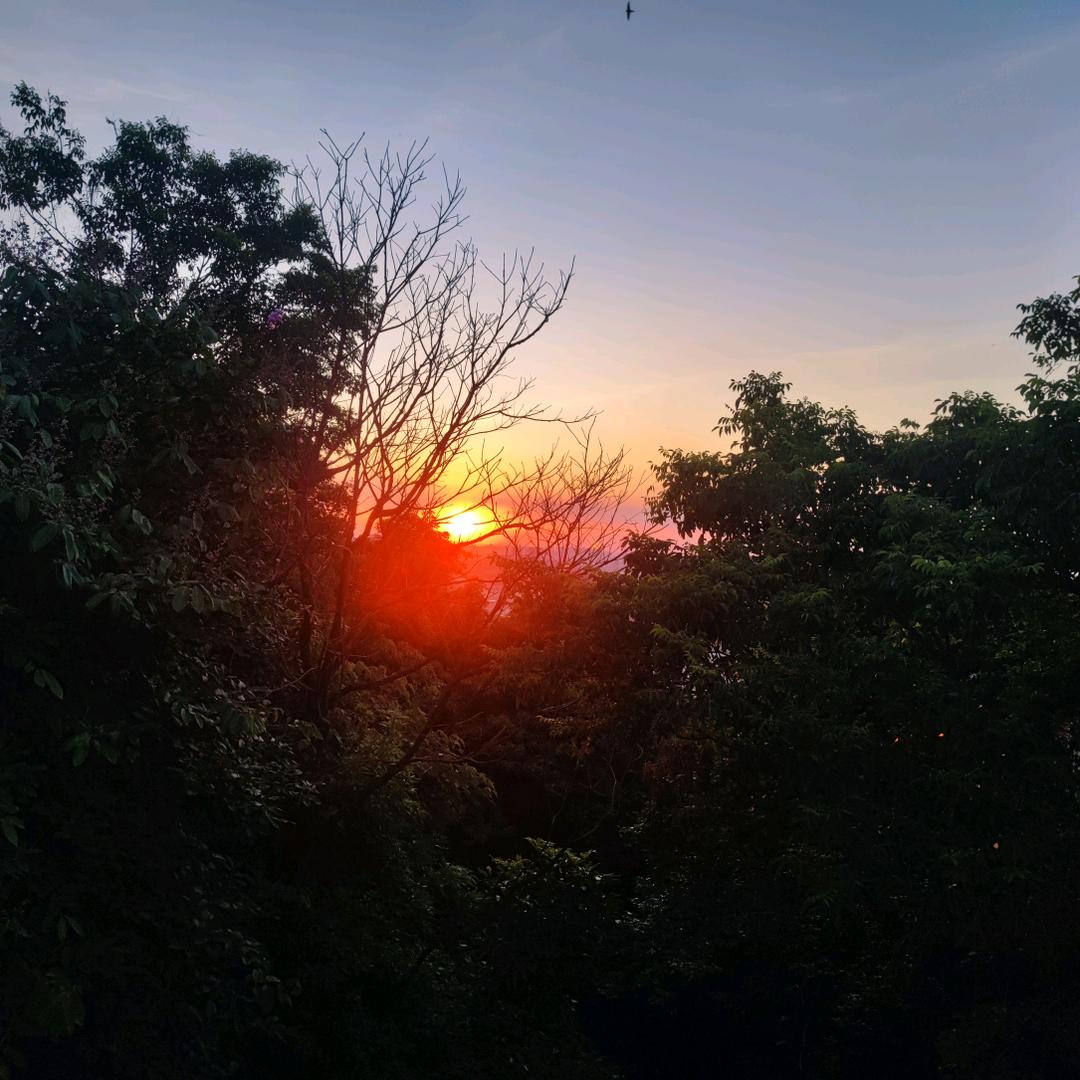 天堂