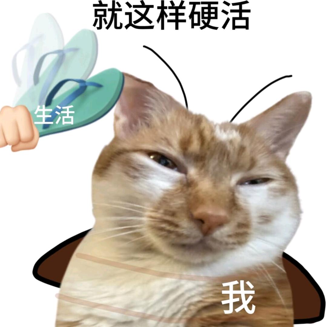 透明色的夏天