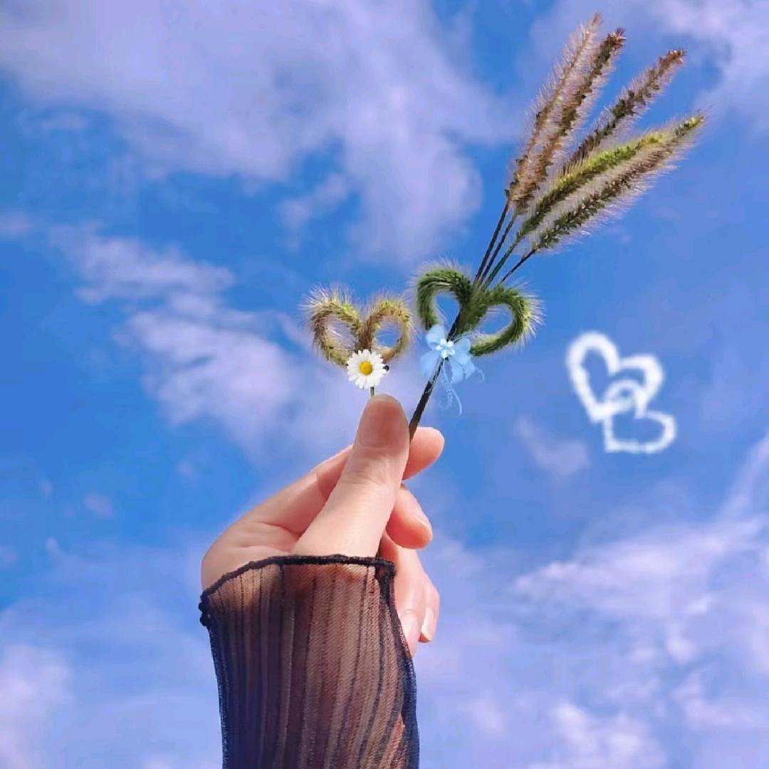 巜微笑前行》😄🌺