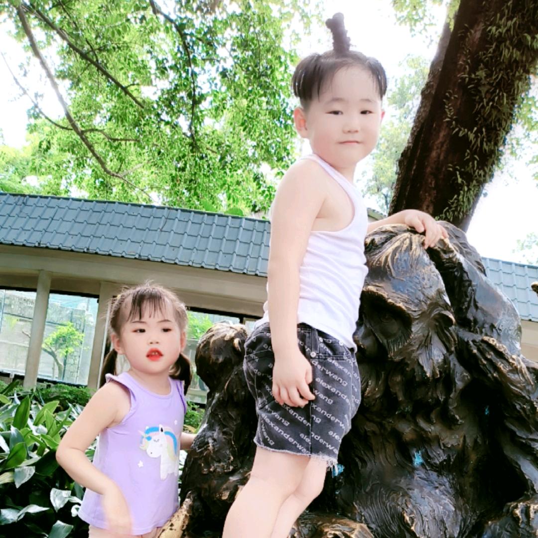 🌺红已去，勿思念🌺