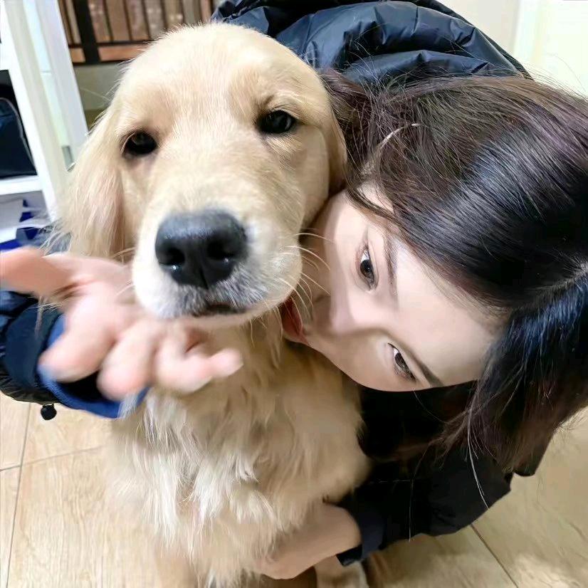 小李本🧼