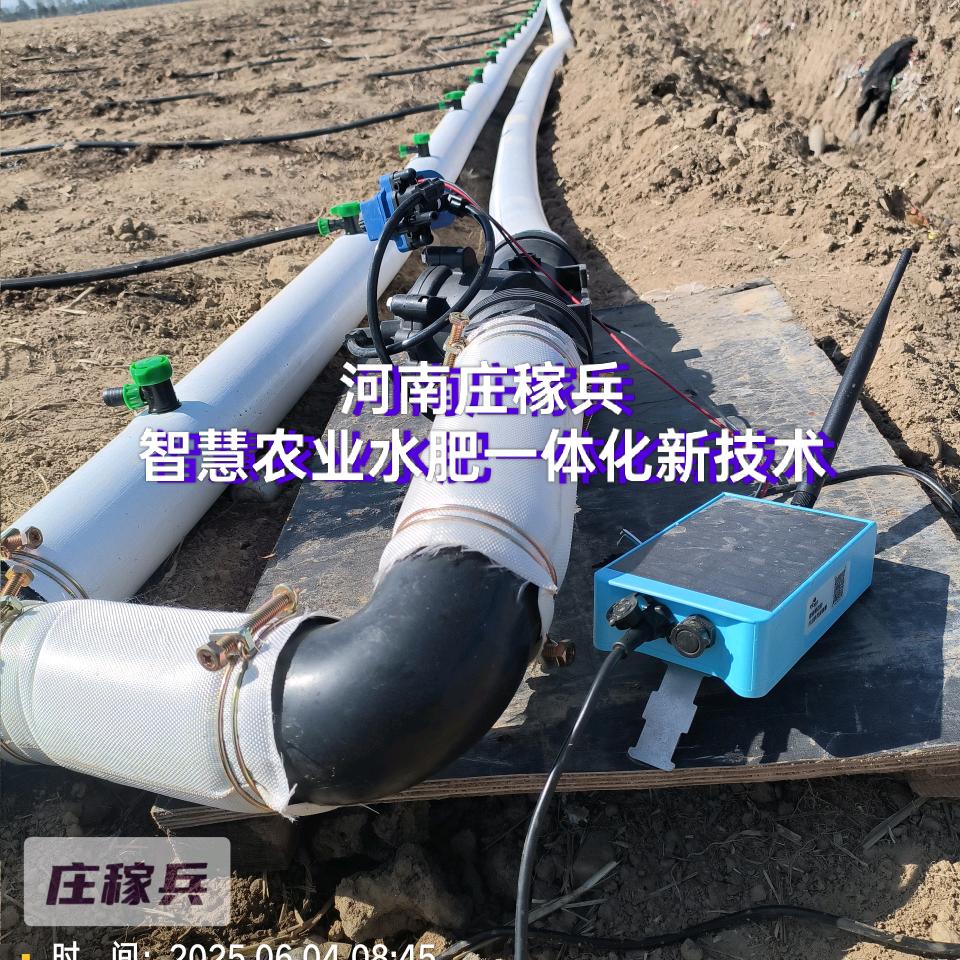 河南.庄稼兵