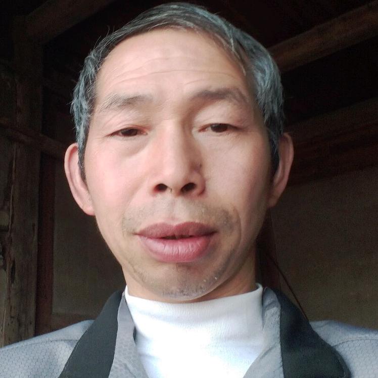 老实人