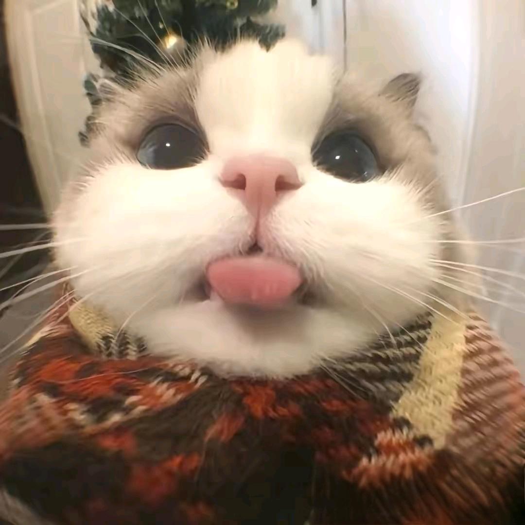 唐小堂