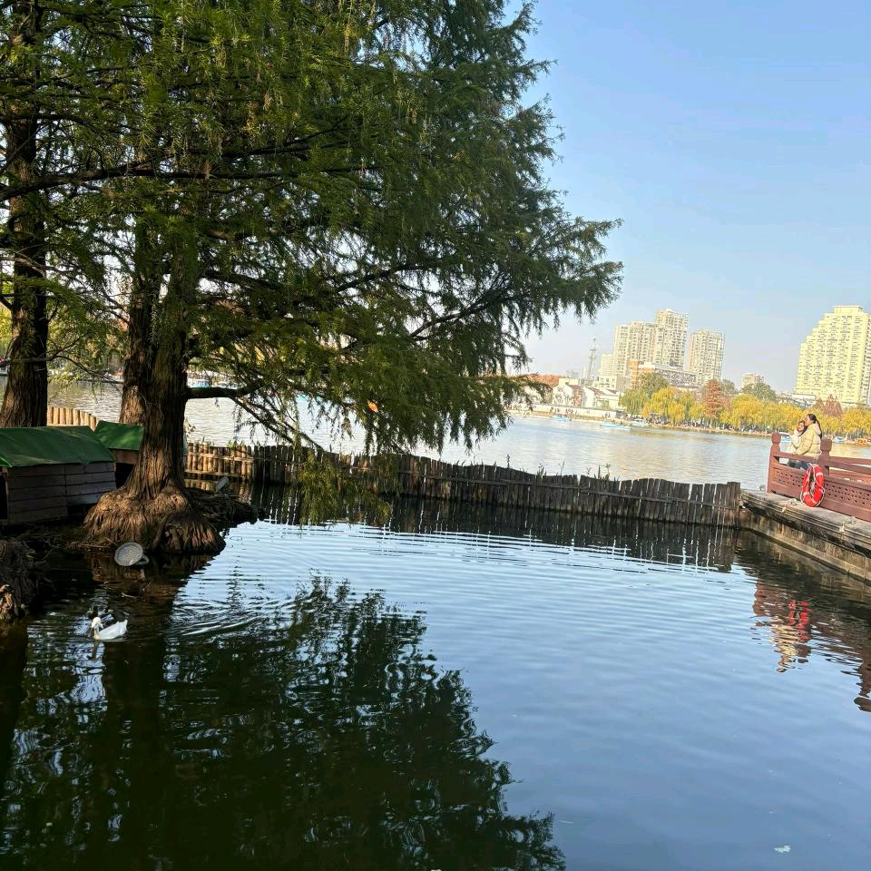 今生有你我足够