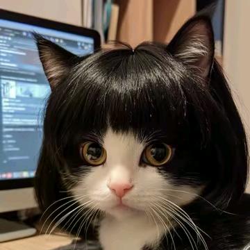 赶不上2路汽车了