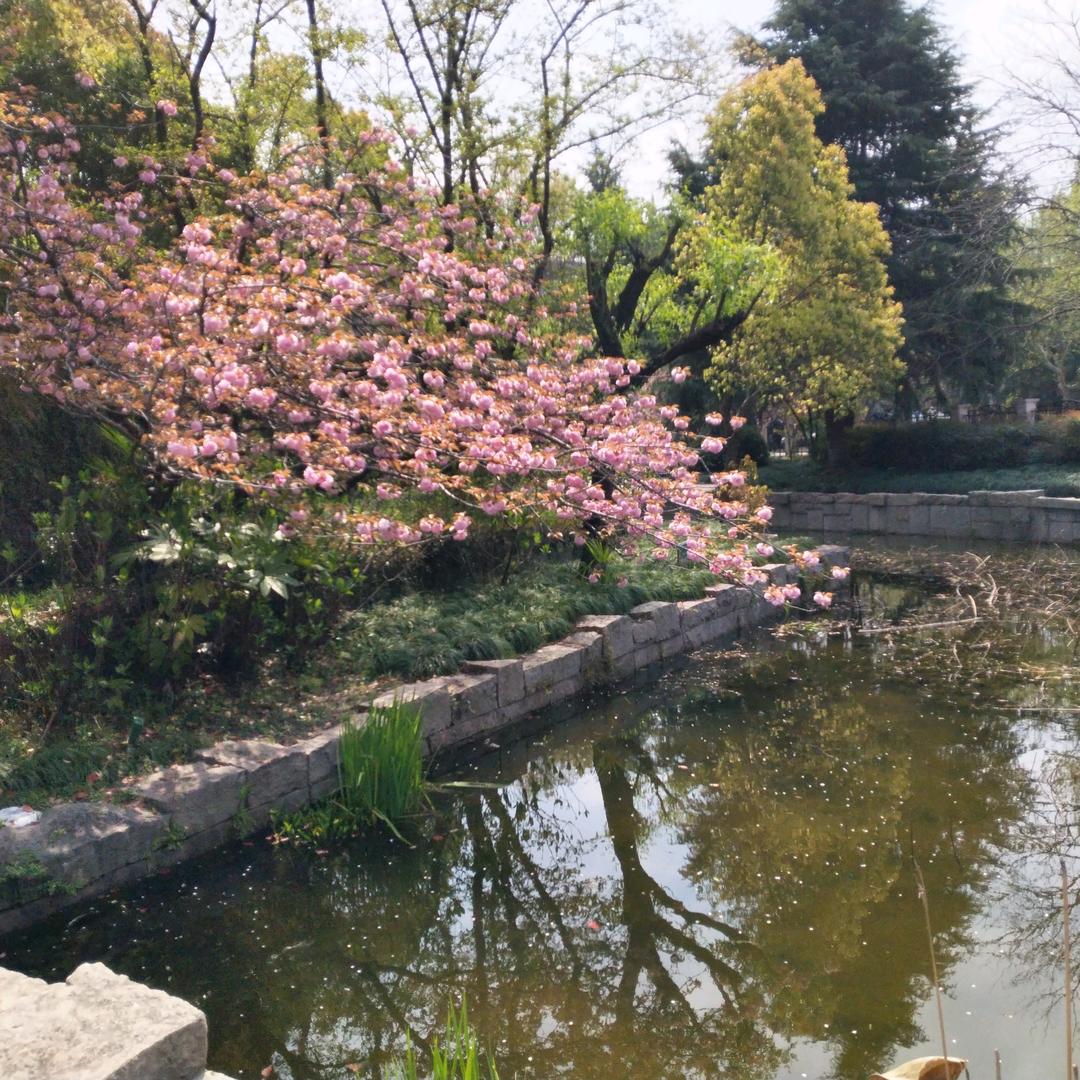 话名