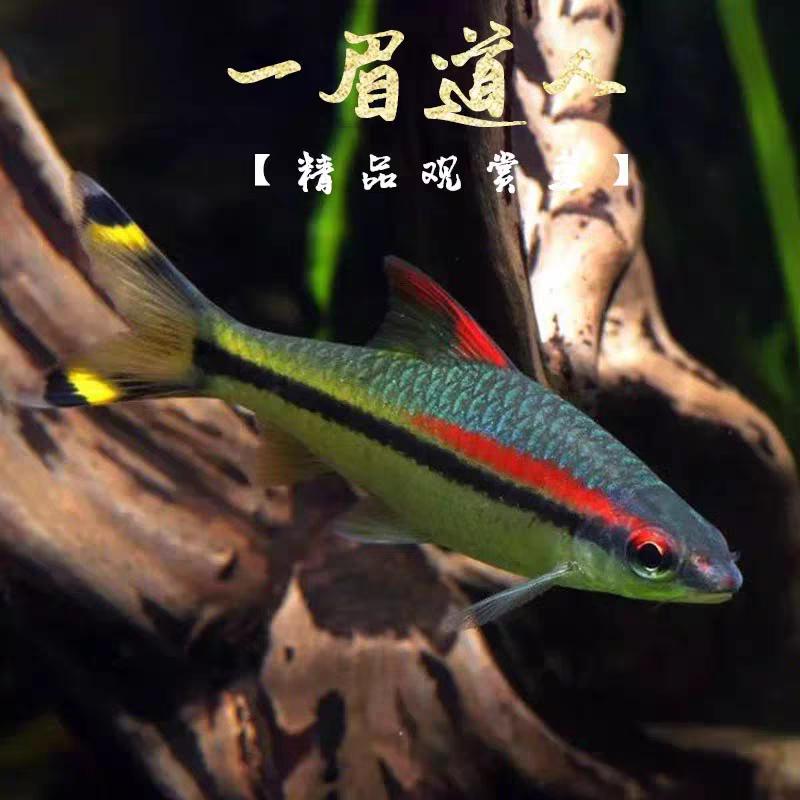 珊瑚水族馆