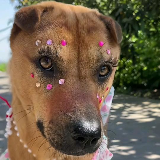 我的奕德在哪？