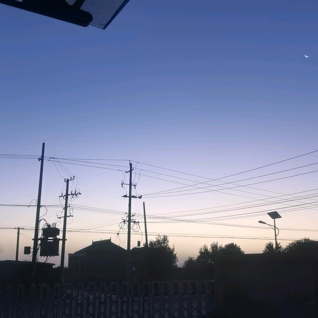 老扬(三角洲行动)