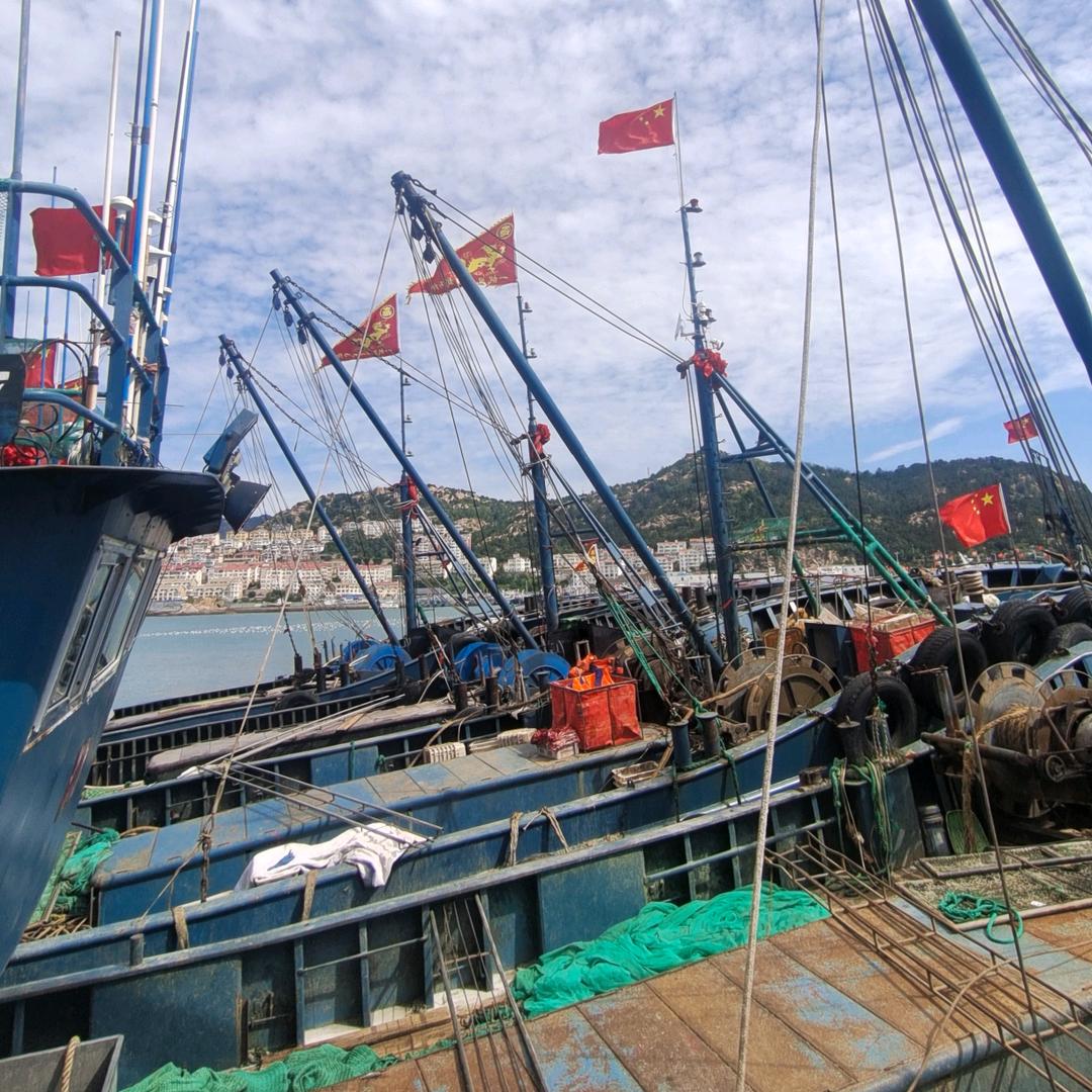 莹莹海鲜