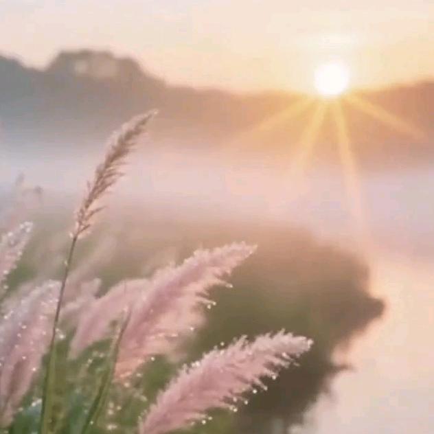 @ℒᎭℯ🥀⃟执᭄念ꦻ: 🥀⃟