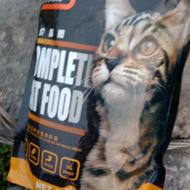 老来苦，行动不了