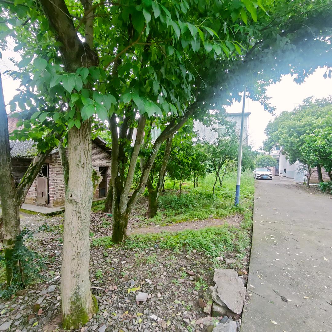 🌺🌺小助理号