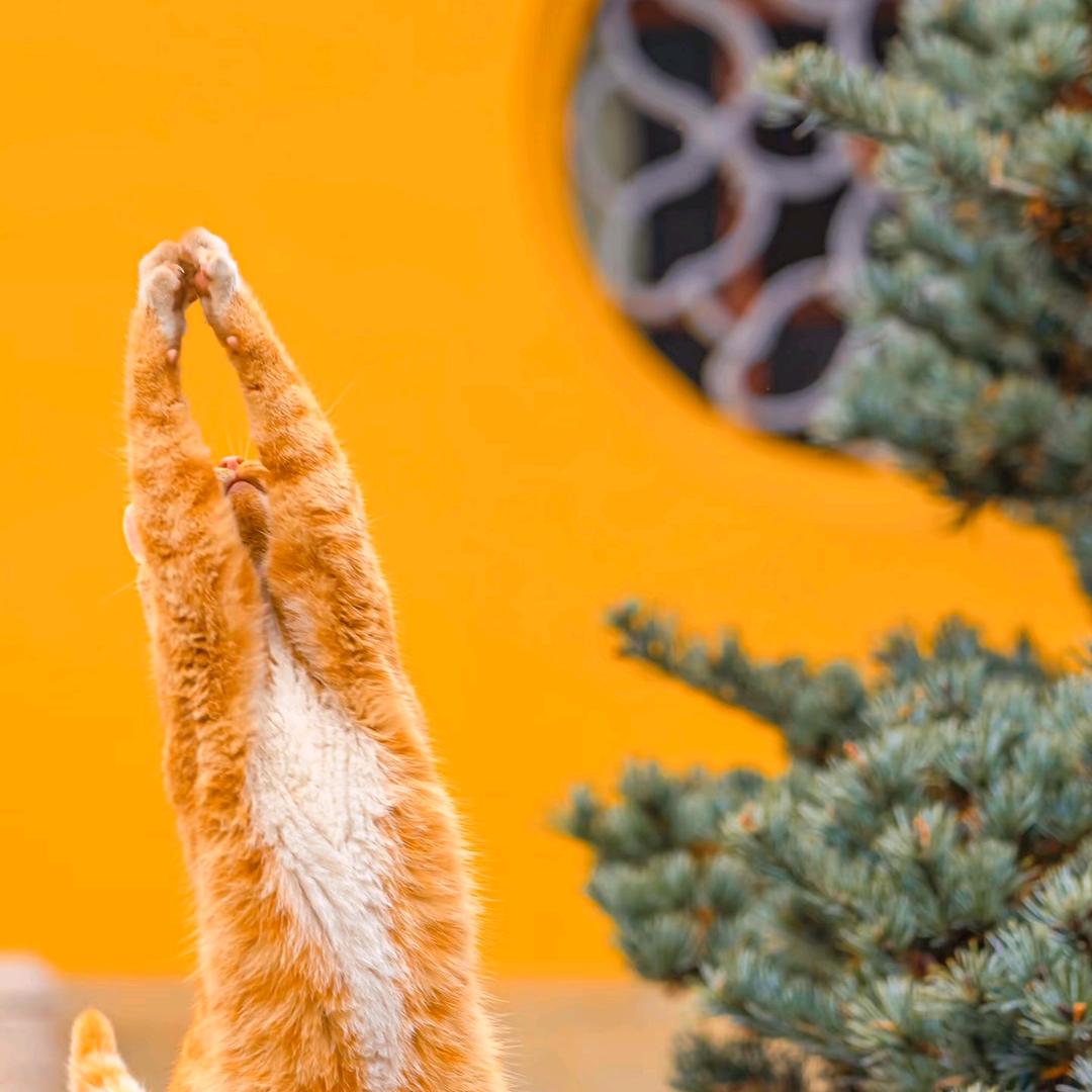 自己经历过，才知道原来如此