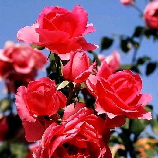 开心❤️就好，